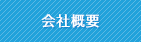 ЊTv